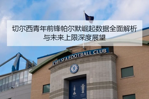 切尔西青年前锋帕尔默崛起数据全面解析与未来上限深度展望