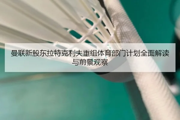 曼联新股东拉特克利夫重组体育部门计划全面解读与前景观察