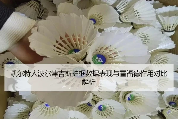 凯尔特人波尔津吉斯护框数据表现与霍福德作用对比解析